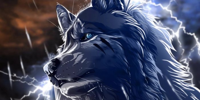 1920x1080 Free download Cool Wolf Wallpapers 31 images WallpaperBoat [1920x1080] for  your Desktop, Mobile & Tablet | Explore 38+ Cool Wolf HD Wallpapers | Wolf  Wallpapers Hd, Wolf Wallpaper Hd, Hd Wolf Wallpaper