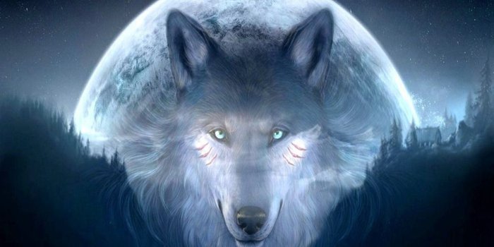 1920x1200 Cool Galaxy Wolf Wallpapers HD - PixelsTalk.Net