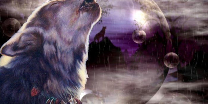 1024x768 cool wolf backgrounds 11071 hd wallpapers | HIVE