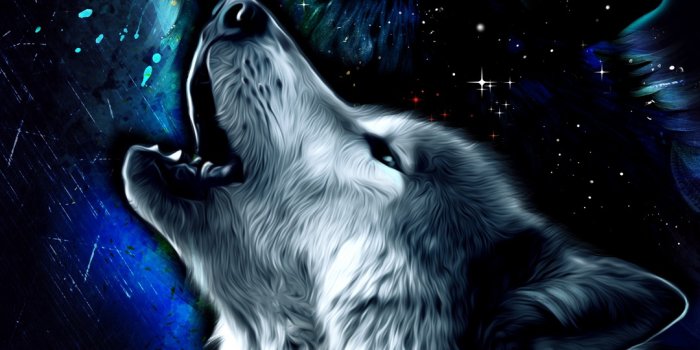 1080x1920 Free Wolf Wallpaper For Your Phone