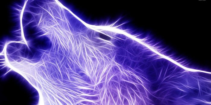 1920x1080 Blue Wolf Wallpaper Digital Art Wallpapers 28583 | Cool Wolves .