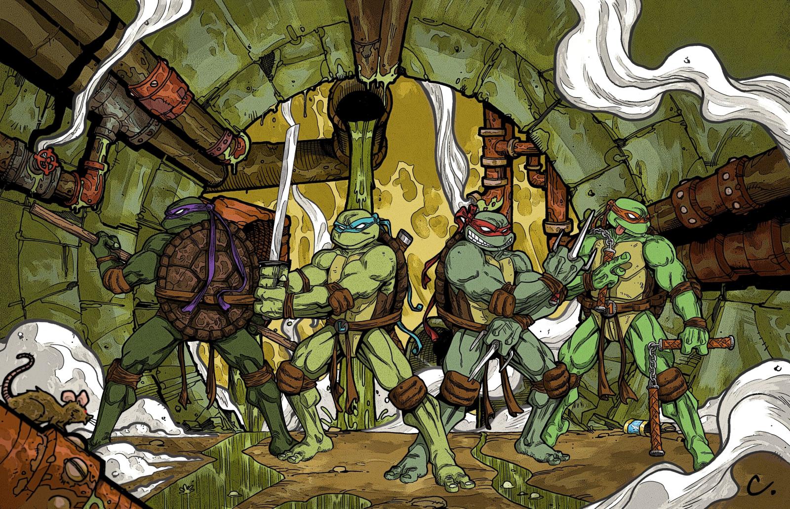 4650x3000 1134149 cartoon, warrior, comics, mythology, Teenage Mutant Ninja Turtles,  screenshot, ancient history, middle ages - Rare Gallery HD Wallpapers