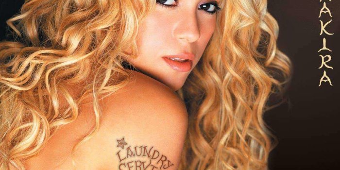 1024x768 shakira-wallpaper-1024x768 | ns520za