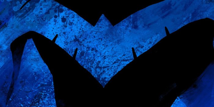 1242x2688 Nightwing iPhone Wallpapers - Top Free Nightwing iPhone Backgrounds -  WallpaperAccess