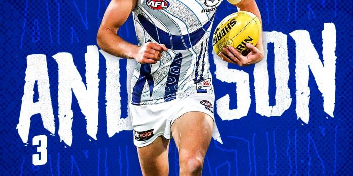 992x1764 North Melbourne Football Club Wallpapers