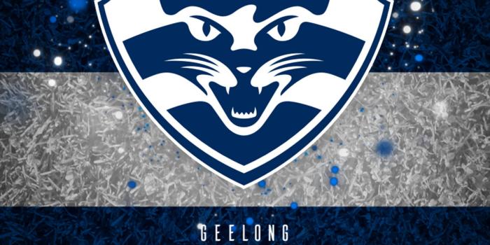 1223x1920 Download Afl Geelong Cats Wallpaper | Wallpapers.com