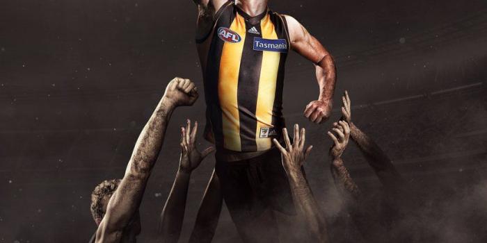 848x1200 Hawthorn Hawks Wallpapers
