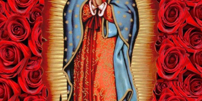 736x1176 Our Lady Of Guadalupe Wallpapers
