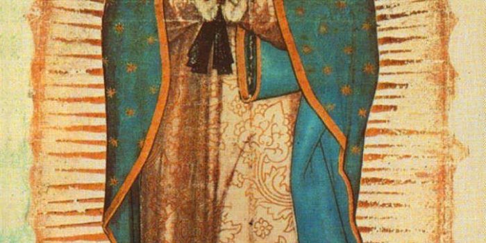 724x1435 Our Lady Of Guadalupe Wallpapers