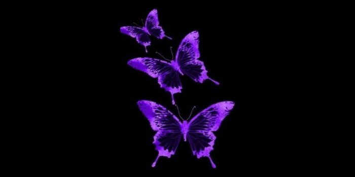 736x1460 Pin em Iphone wallpaper | Black and purple wallpaper, Purple wallpaper  phone, Dark purple wallpaper