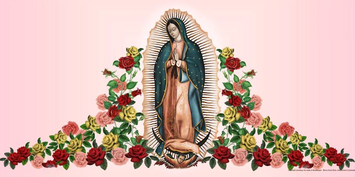 2048x969 Our Lady of Guadalupe – Mercy Cross Store