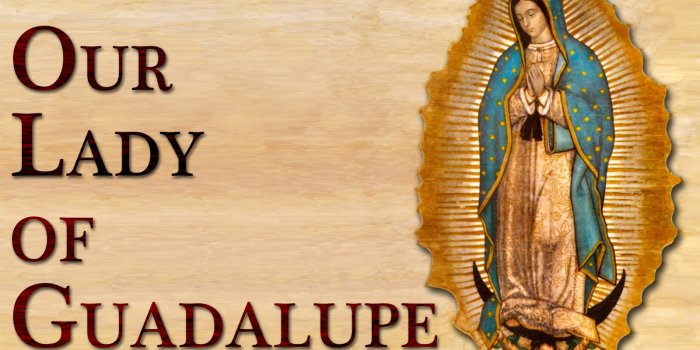 1600x900 Flower Talk: The Flowers of Our Lady of Guadalupe