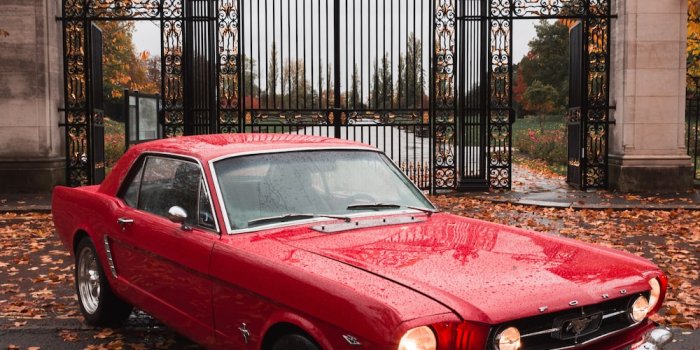 1000x1500 100+ Old Car Pictures | Download Free Images on Unsplash