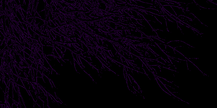 1599x1241 Dark Purple and Black Wallpapers - Top Free Dark Purple and Black  Backgrounds - WallpaperAccess