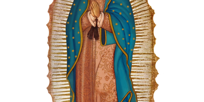 960x1280 740 The Beautiful Lady: Our Lady of Guadalupe ideas | nuestra señora de  guadalupe, guadalupe, virgin of guadalupe