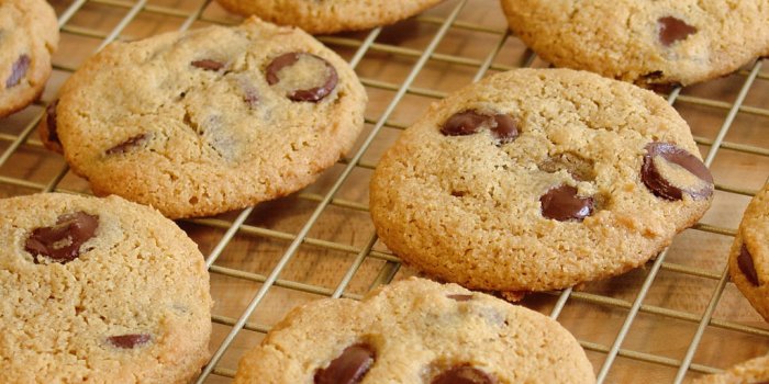 1024x768 Free download Ultimate Paleo Chocolate Chip Cookies Wallpapers [1024x768]  for your Desktop, Mobile & Tablet | Explore 39+ Chocolate Chip Cookie  Wallpaper | Cookie Monster Backgrounds, Chocolate Lab Wallpaper, Chocolate  Wallpaper