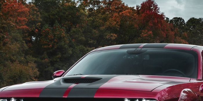 1170x2532 Dodge Challenger SRT Hellcat Widebody Front Look 4... iPhone Wallpapers  Free Download