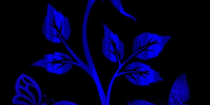 736x1308 Blue wallpaper | Blue roses wallpaper, Blue butterfly wallpaper, Black and blue  wallpaper