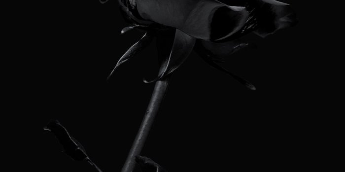 1000x1499 All black Wallpaper - NawPic