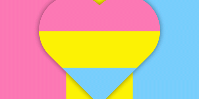 1440x2560 Pansexual Wallpaper - NawPic