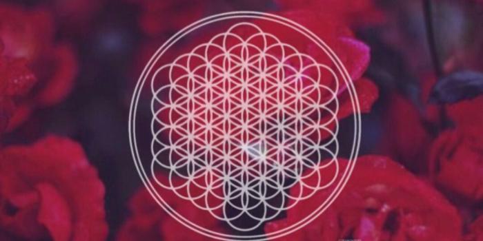 1082x1920 Bring Me The Horizon iPhone Wallpapers - Top Free Bring Me The Horizon  iPhone Backgrounds - WallpaperAccess