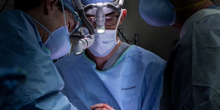 800x1283 Surgery Images | Free Medical Background Photos, PNG & PSD Mockups, HD  Wallpapers & Vector Graphics - rawpixel