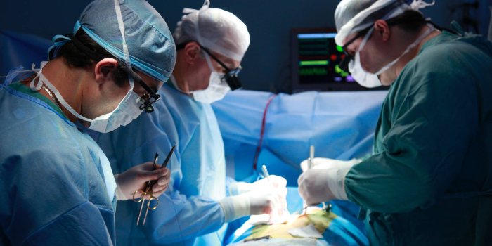 1920x1280 Free Surgeon Wallpaper Downloads, [100+] Surgeon Wallpapers for FREE |  Wallpapers.com