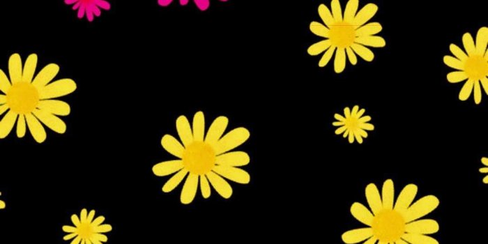 1079x1920 Pansexual Wallpaper - NawPic