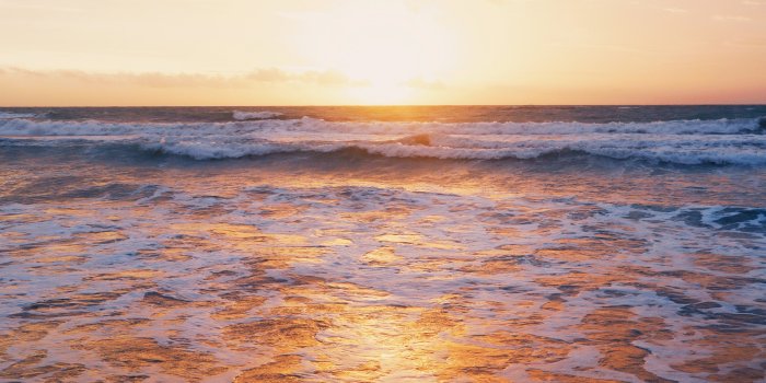 2656x3984 Beach Sunset Photos, Download The BEST Free Beach Sunset Stock Photos & HD  Images