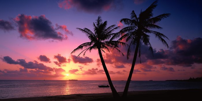 1366x768 38+] Tropical Beach Sunset Wallpaper - WallpaperSafari