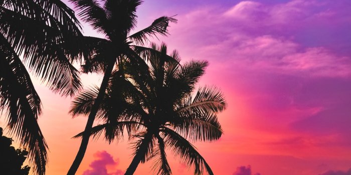 1000x1506 1500+ Sunset Beach Pictures | Download Free Images on Unsplash