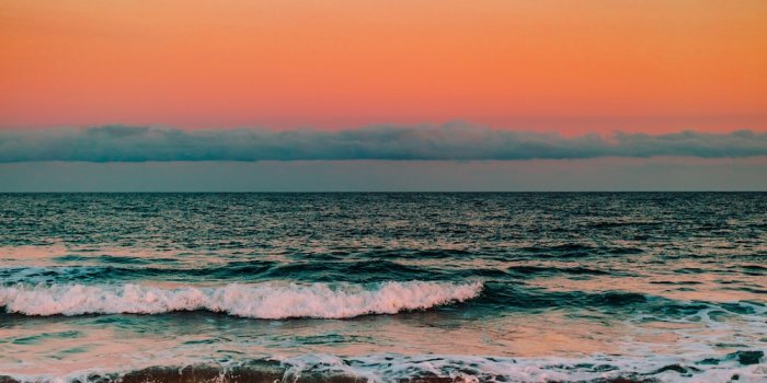 1000x1500 1500+ Sunset Beach Pictures | Download Free Images on Unsplash