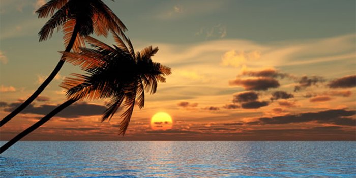 1485x1114 66+] Sunset Beaches Wallpaper - WallpaperSafari