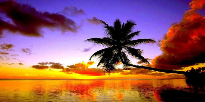 1920x1200 Beach Sunset Wallpapers HD Pictures