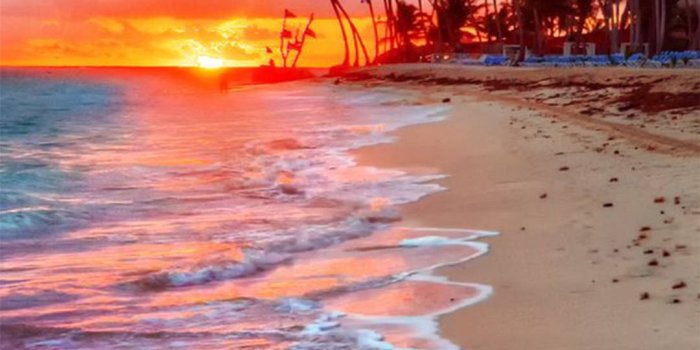 1080x1920 Wallpapers.com