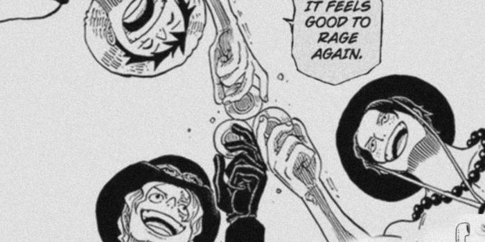 1288x2289 One Piece Manga Panel Wallpapers