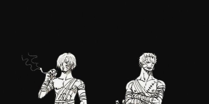 1080x1920 Download One Piece Phone Luffy Sanji Zoro Manga Wallpaper | Wallpapers.com