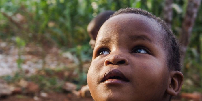 1920x1280 Wallpapers.com