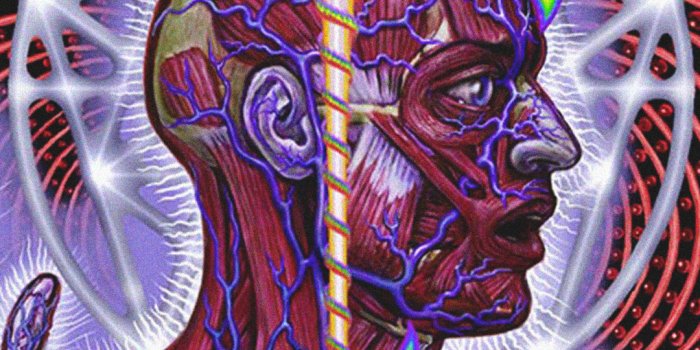 1080x1920 31+] Tool Lateralus Wallpapers - WallpaperSafari