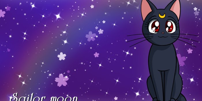 1280x960 Free download Luna Bakugan and Sailor Moon Wallpaper 28089153 [1280x960]  for your Desktop, Mobile & Tablet | Explore 48+ Sailor Moon Luna Wallpaper  | Sailor Moon Wallpaper, Sailor Moon Background, Sailor Moon Backgrounds