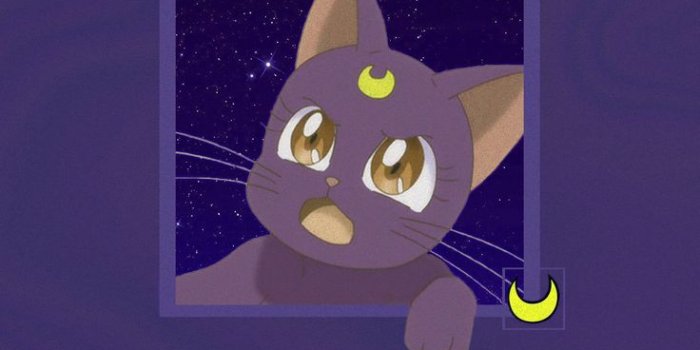 736x1308 Luna Aesthetic | Sailor moon art, Sailor moon aesthetic, Sailor moon  wallpaper