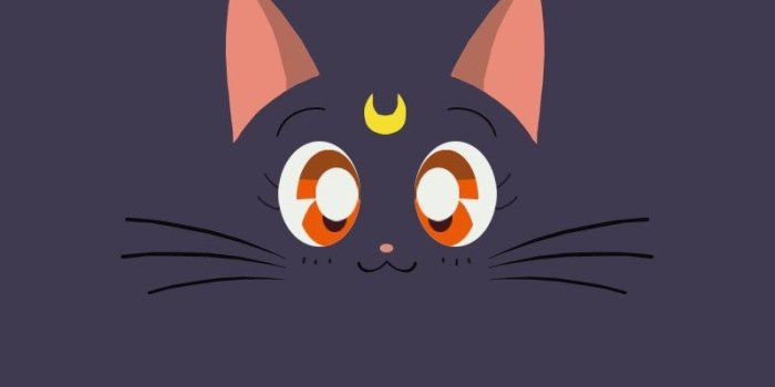 800x1422 Luna Sailor Moon Wallpapers - Top Free Luna Sailor Moon Backgrounds -  WallpaperAccess