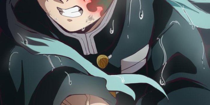 720x1280 Demon Slayer | Muichiro Tokito HD wallpaper download