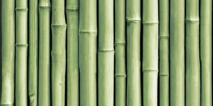 1000x1000 RoomMates Bamboo Green Peel and Stick Wallpaper (Covers 28.18 sq. ft.)  RMK11449WP - The Home Depot