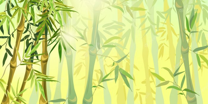 2000x1333 Bamboo Wallpaper Images - Free Download on Freepik