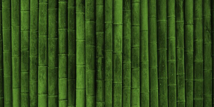 1332x850 Wallpaper green, plant, Japanese bamboo images for desktop, section  текстуры - download
