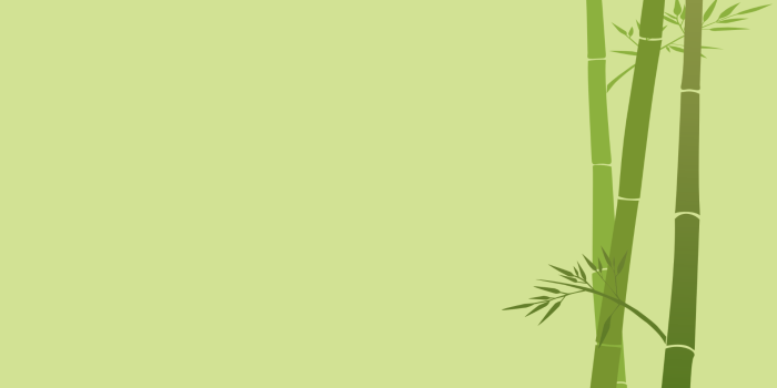 1920x1080 427161 green background, minimalism, bamboo, artwork, plants, simple  background - Rare Gallery HD Wallpapers