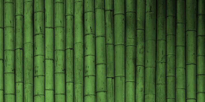 1920x1200 Wallpaper Bamboo (55+ pictures)