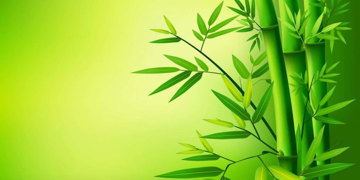 1920x1200 Download The serenity of a beautiful green bamboo forest Wallpaper |  Wallpapers.com
