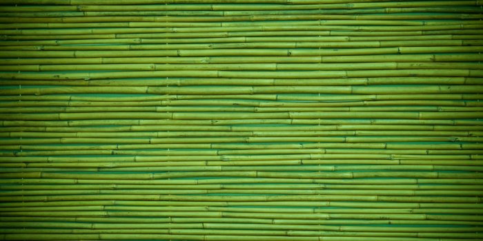 1332x850 Wallpaper green, wood, pattern, bamboo images for desktop, section текстуры  - download